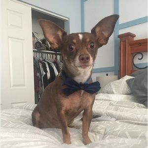 Meet your Posher, Erin